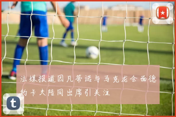 法媒报道因凡蒂诺与马克龙会面德约卡夫陪同出席引关注