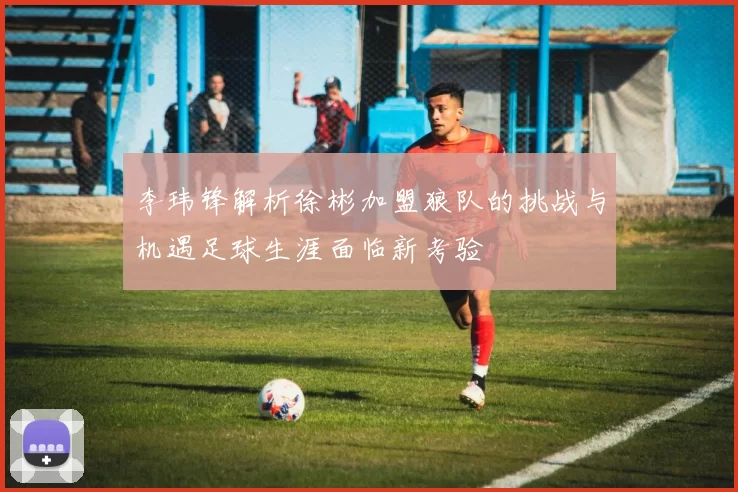 李玮锋解析徐彬加盟狼队的挑战与机遇足球生涯面临新考验